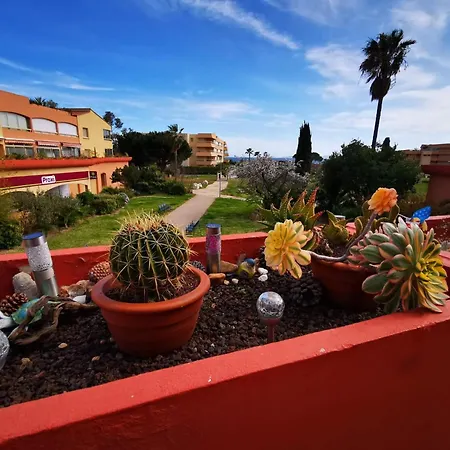 Appartement T3 Climatise Vue *