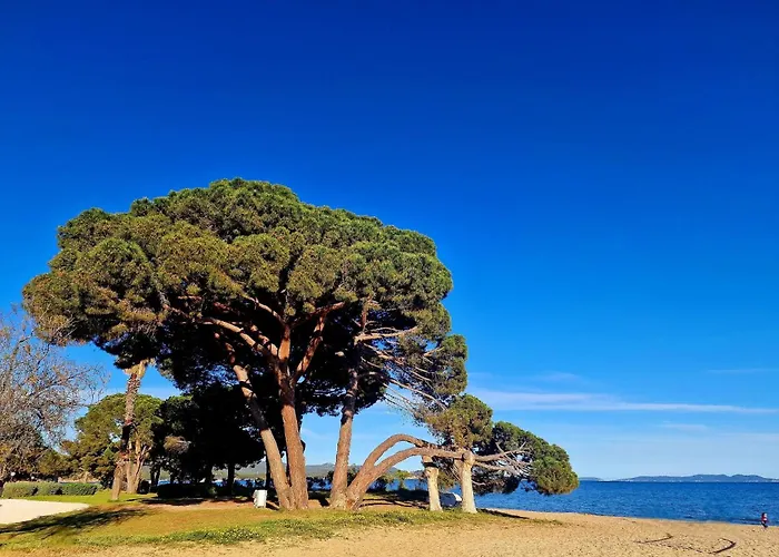 T3 Climatise Vue Appartement La Londe-les-Maures